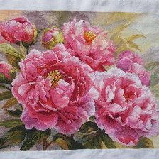 Процесс «Пионы»