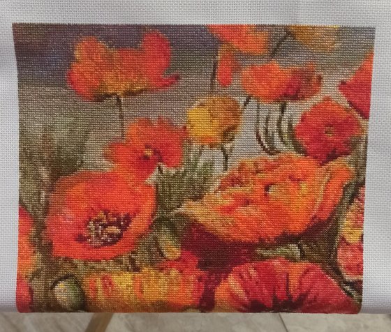 Этап процесса «Красные маки Иссык-Куля»