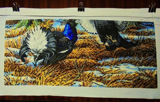 Этап процесса «Тетерева»