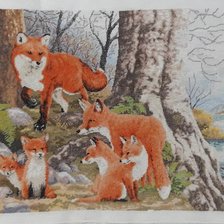 Процесс «№7737»