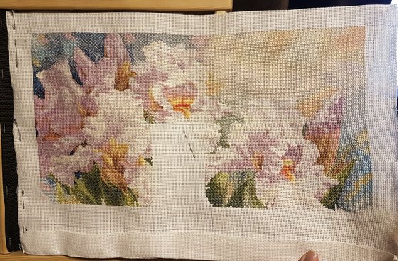 Этап процесса «Ирисы»