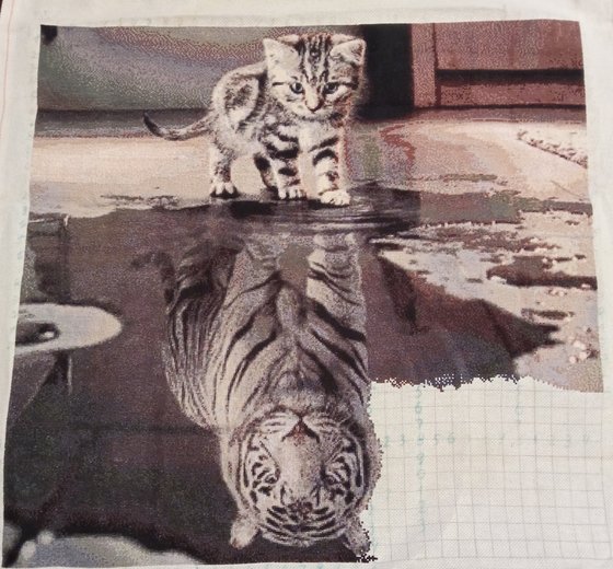 Этап процесса «Тигрёнок»