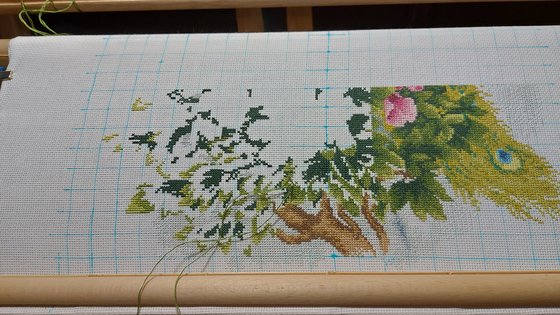 Этап процесса «Павлины»