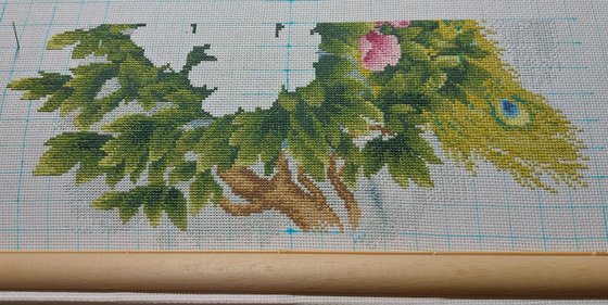 Этап процесса «Павлины»