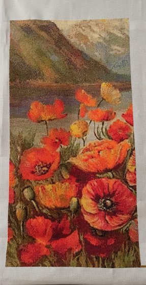 Этап процесса «Красные маки Иссык-Куля»