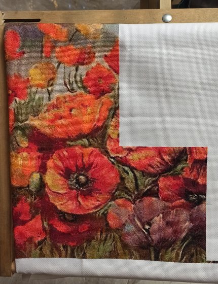 Этап процесса «Красные маки Иссык-Куля»