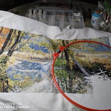 Процесс «Остался последний уголок»