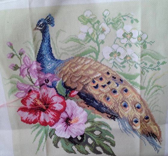 Этап процесса «Павлин»