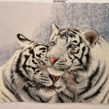 Процесс «Бенгальские тигры»