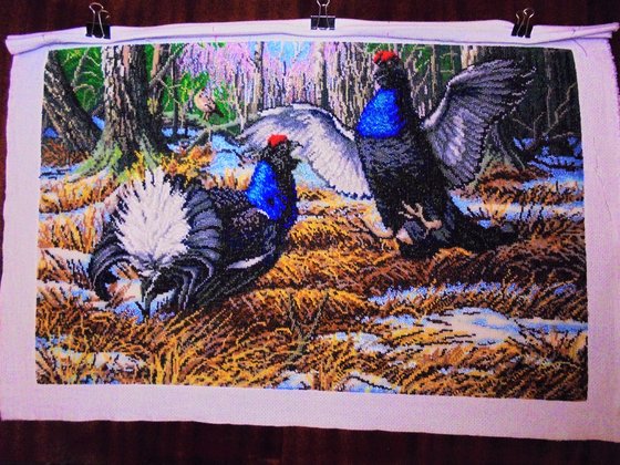 Этап процесса «Тетерева»