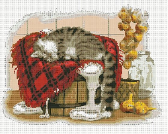 Этап процесса «Кот на кухне»