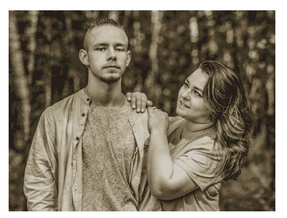 Этап процесса «Вышивка по фото.»