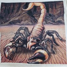 Процесс «Скорпион»