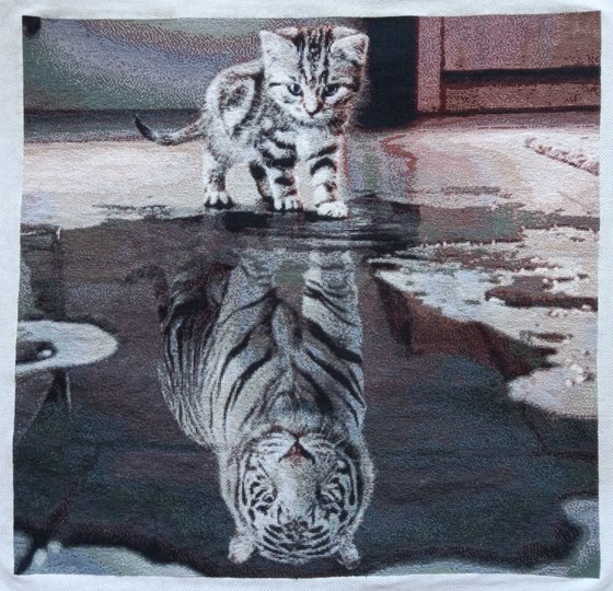 Этап процесса «Тигрёнок»