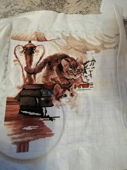 Этап процесса «Котята»