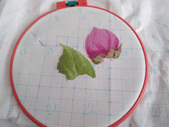 Этап процесса «Расцвели»