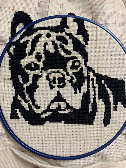 Этап процесса «Французский бульдог моно»