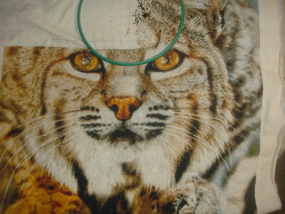 Этап процесса «Рысь»