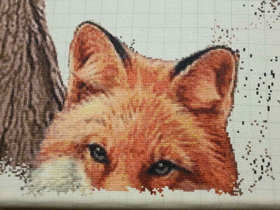 Этап процесса «Лиса»