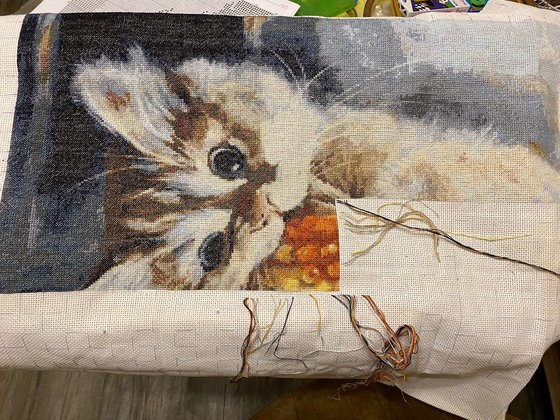 Этап процесса «Кот с бутербродом»