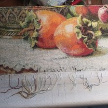 Процесс «Натюрморт с хурмой.»