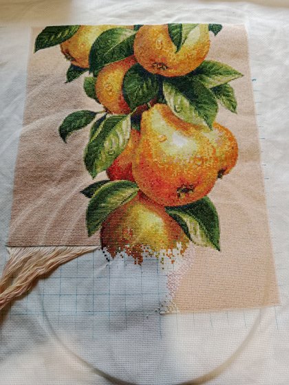 Этап процесса «Спелые груши»