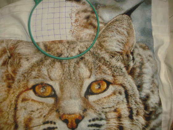 Этап процесса «Рысь»