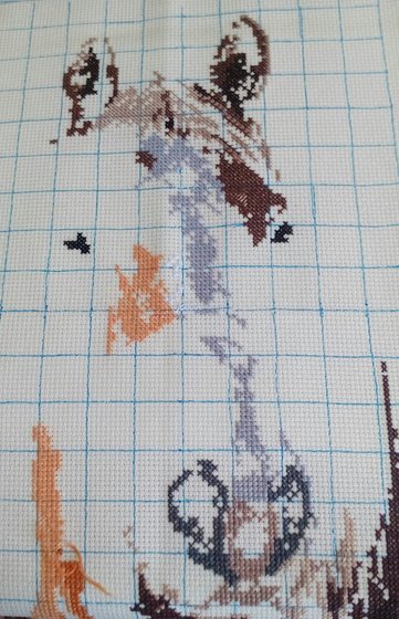 Этап процесса «конь»