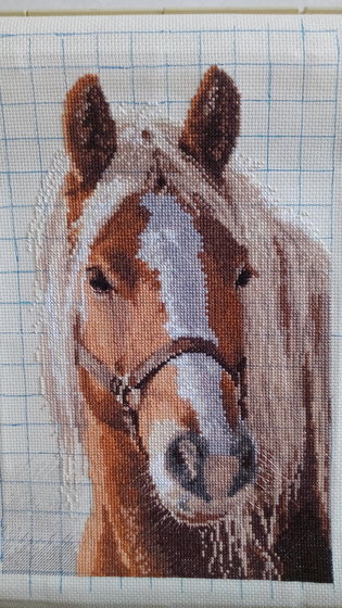 Этап процесса «конь»