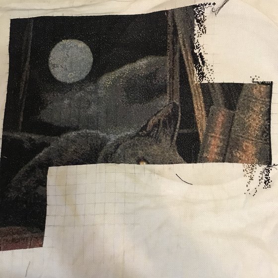 Этап процесса «Кот»