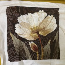 Процесс «Залитый светом»