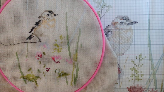 Этап процесса «Луговой чекан»