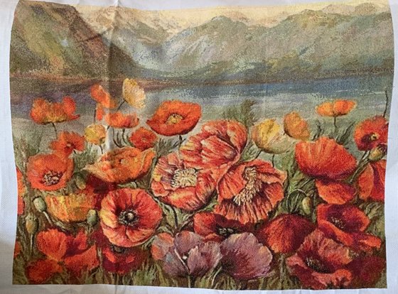 Этап процесса «Красные маки Иссык-Куля»