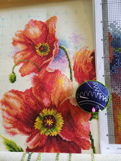 Этап процесса «Маки от   DOME»