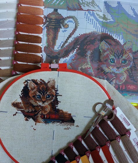 Этап процесса «Риолис 1247»