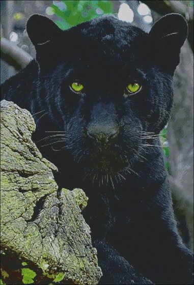 Этап процесса «Пантера»