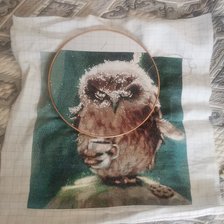 Процесс «Сова с утра»