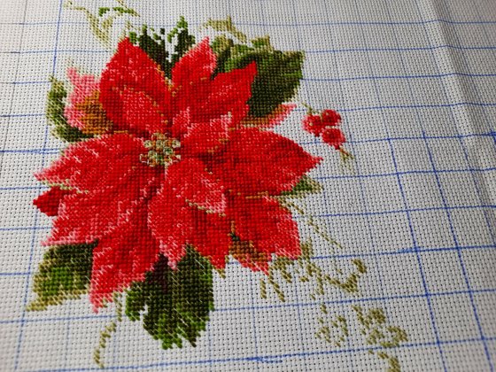 Этап процесса «Пуансеттия»