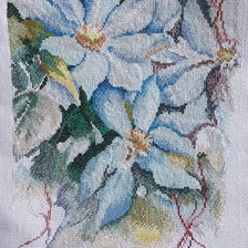 Процесс «Клематисы 2»