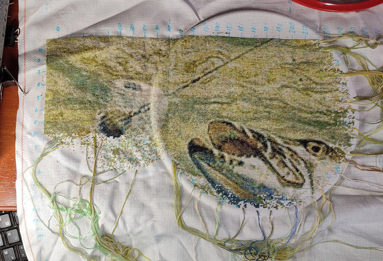 Этап процесса «Щука»