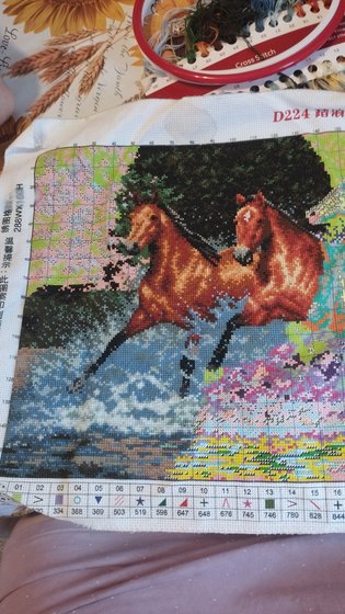 Этап процесса «Лошади»