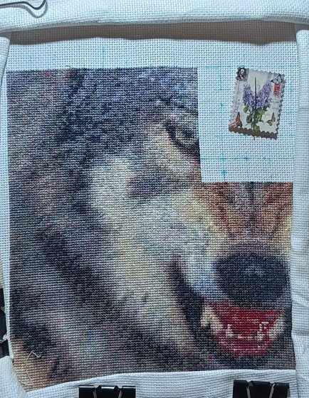 Этап процесса «Волк»