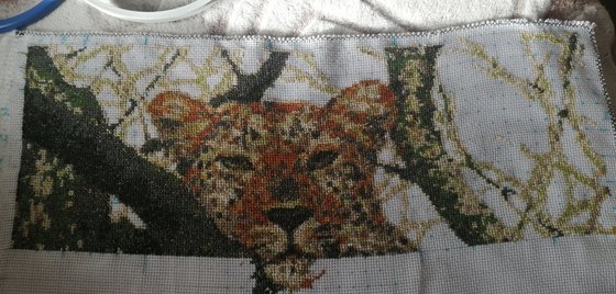 Этап процесса «Леопард на ветке»