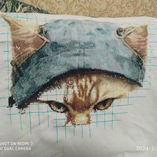 Процесс «Мурзик»