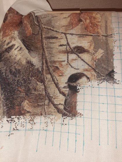 Этап процесса «Синички»