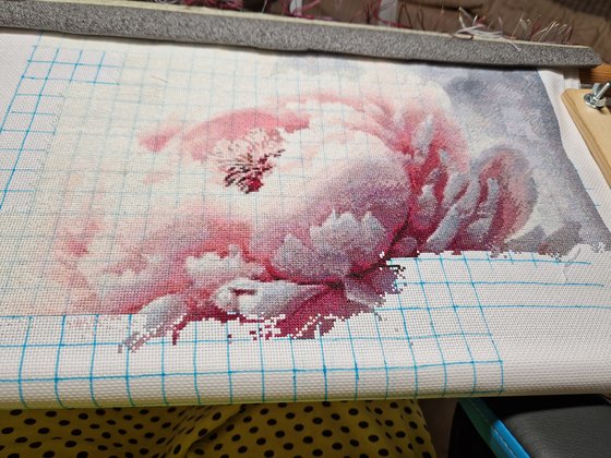 Этап процесса «Пион с снегу»