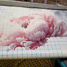 Процесс «Пион с снегу»