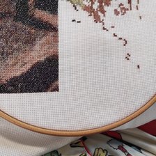 Процесс «Енот»