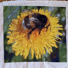 Процесс «Шмель на одуванчике»