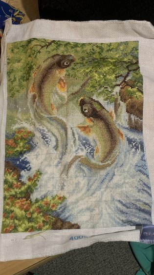 Этап процесса «карпы»